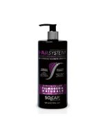 HAIR SYSTEM | Instant šampon | za obnovu kose 500 ml