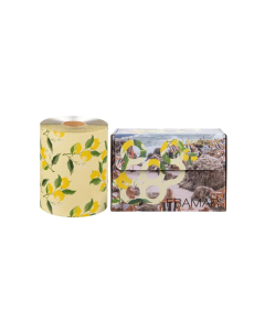 Embossed Roll Limoncello reljefna folija u roli 97,5m | Framar