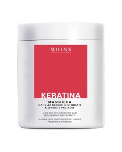 Renee Blanche Moine maska za kosu obogaćena keratinom 1000ml
